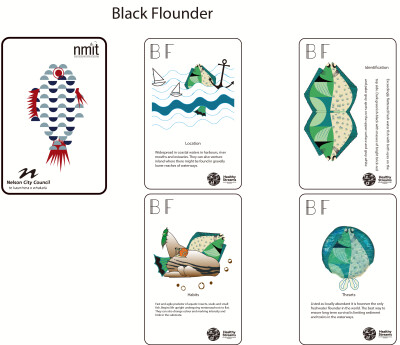 I designed the card patterns and patterns according to the popular game "Fish/Go Fish". The protagonists of these cards are three NZ fish that live in fresh water, with the aim of
educating people abo…