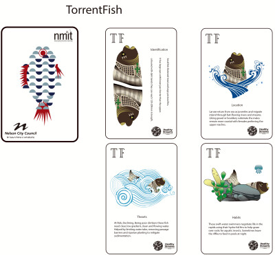 I designed the card patterns and patterns according to the popular game "Fish/Go Fish". The protagonists of these cards are three NZ fish that live in fresh water, with the aim of
educating people abo…