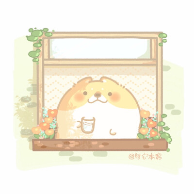 作者：@阿宅本柴