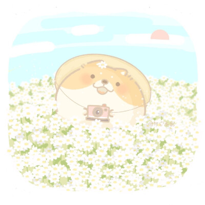 作者：@阿宅本柴
