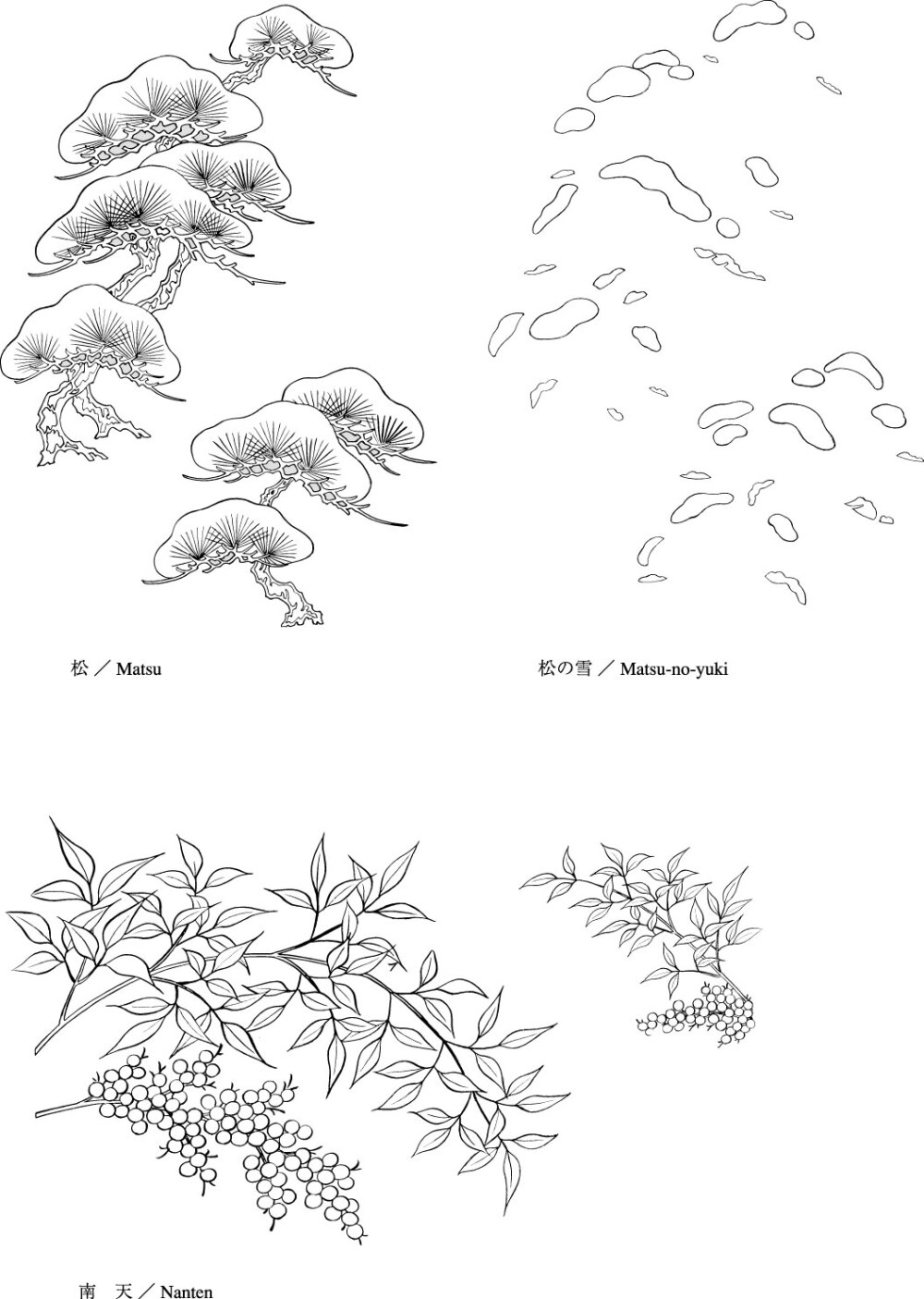 植物花卉