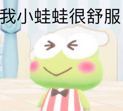 表情包 vb追大鹅