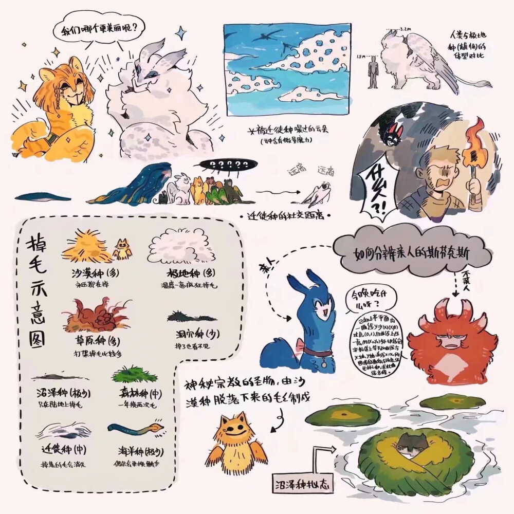 有点可爱的斯芬克斯科普
