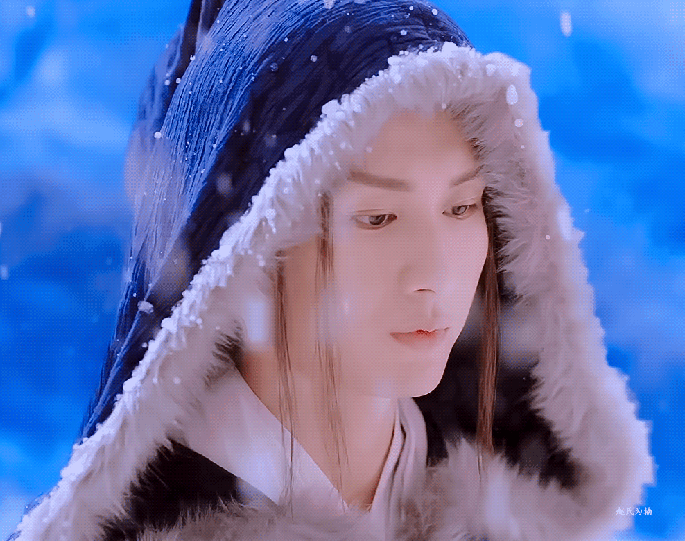 琉璃禹司凤褚璇玑