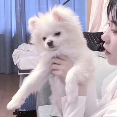 也祝今年秋天陪在你身边的人 明年依旧.