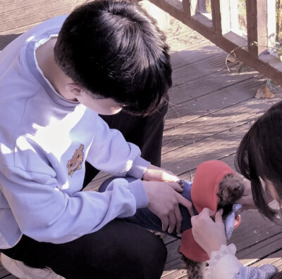 也祝今年秋天陪在你身边的人 明年依旧.