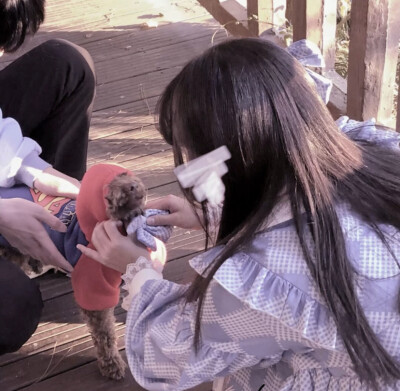 也祝今年秋天陪在你身边的人 明年依旧.