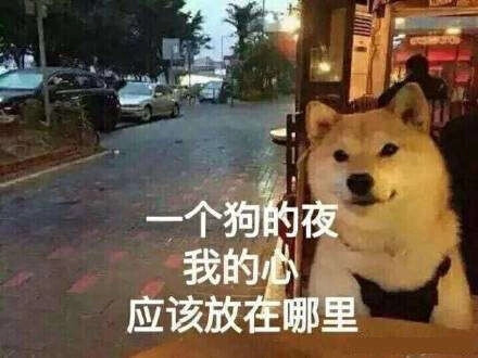 柴犬表情包