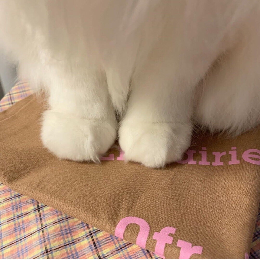 【可爱头像】 by初见你497