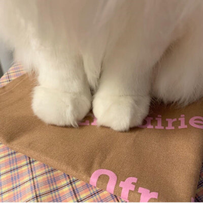 【可爱头像】 by初见你497