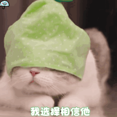 dt雨伞