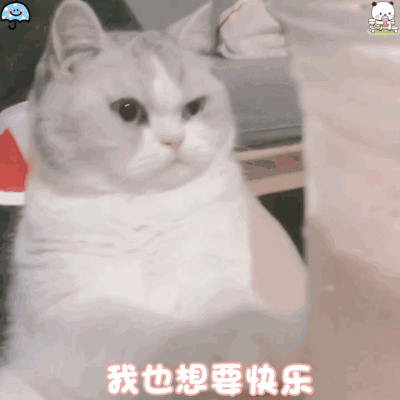 dt雨伞