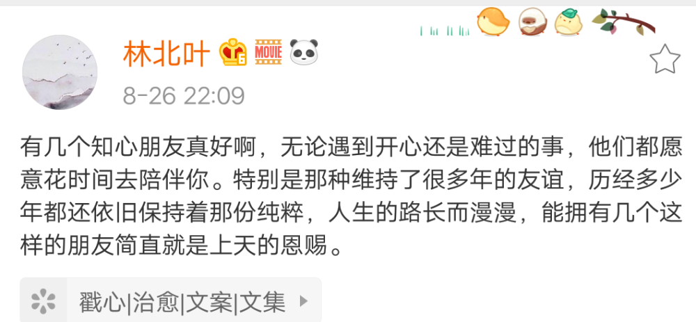 认真做自己的事就好 不要去给别人建议 每个人都不适合别人生活经验 不打扰别人 是一种高级的善良