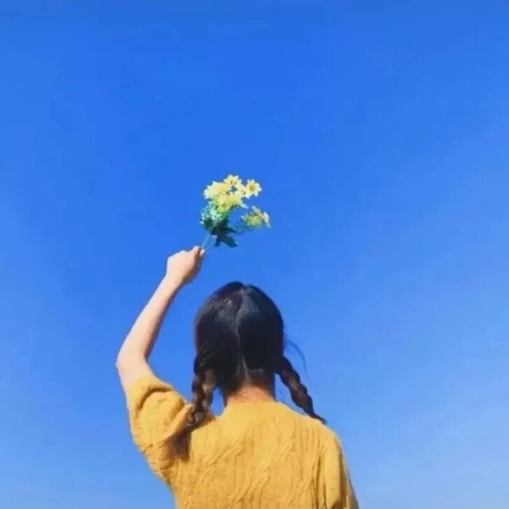 菊