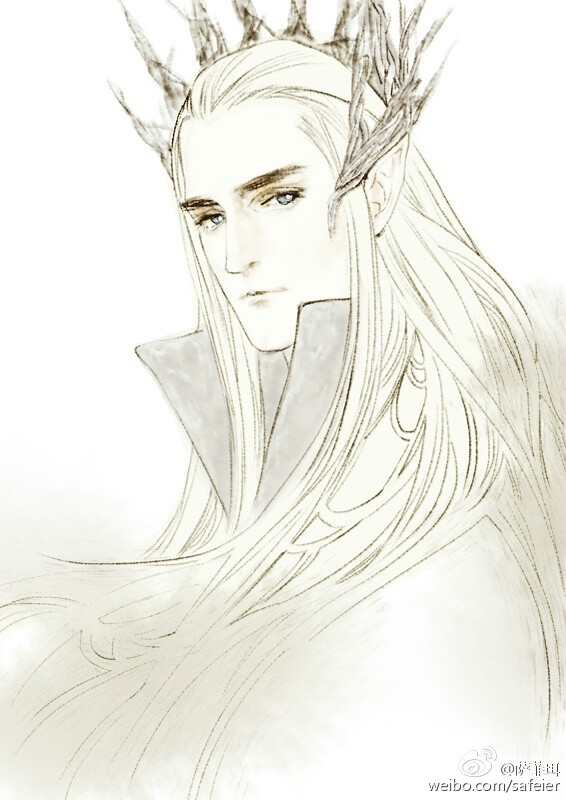 Thranduil
画师 萨菲珥