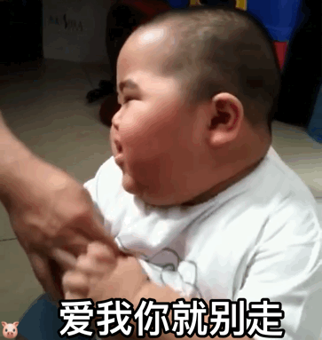 二传注明暴雨集