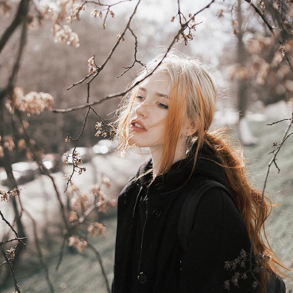 欧美女头