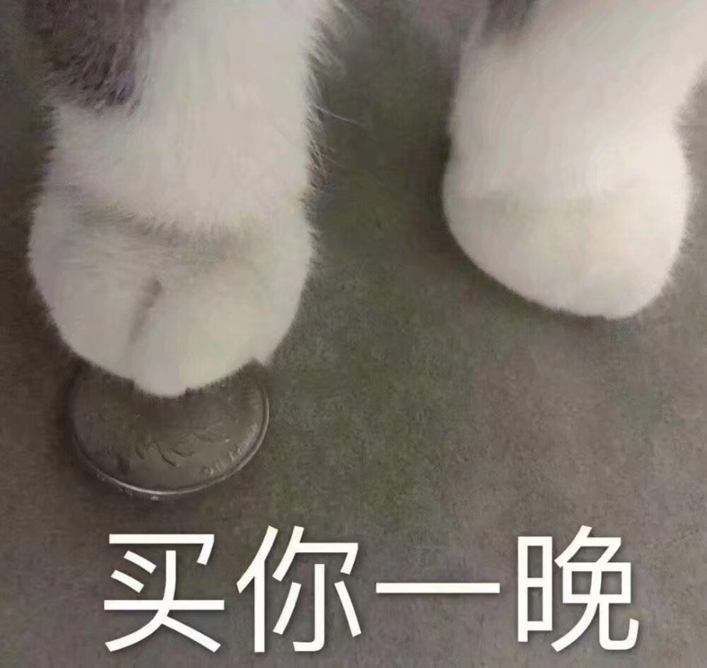 猫爪头像