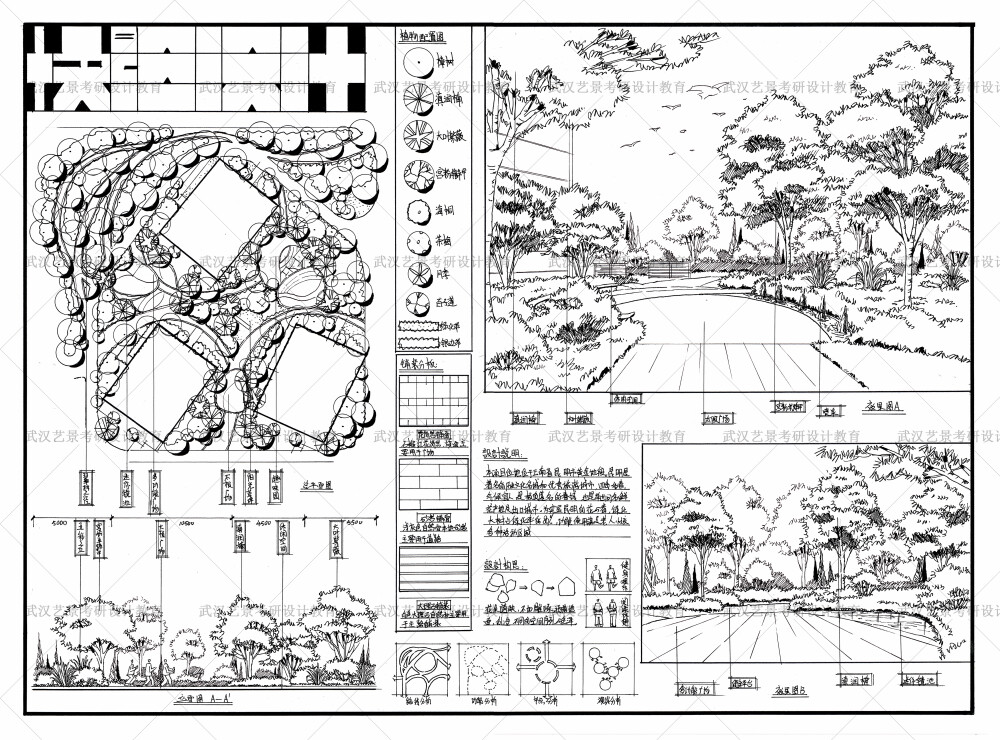 景观快题线稿学生作品