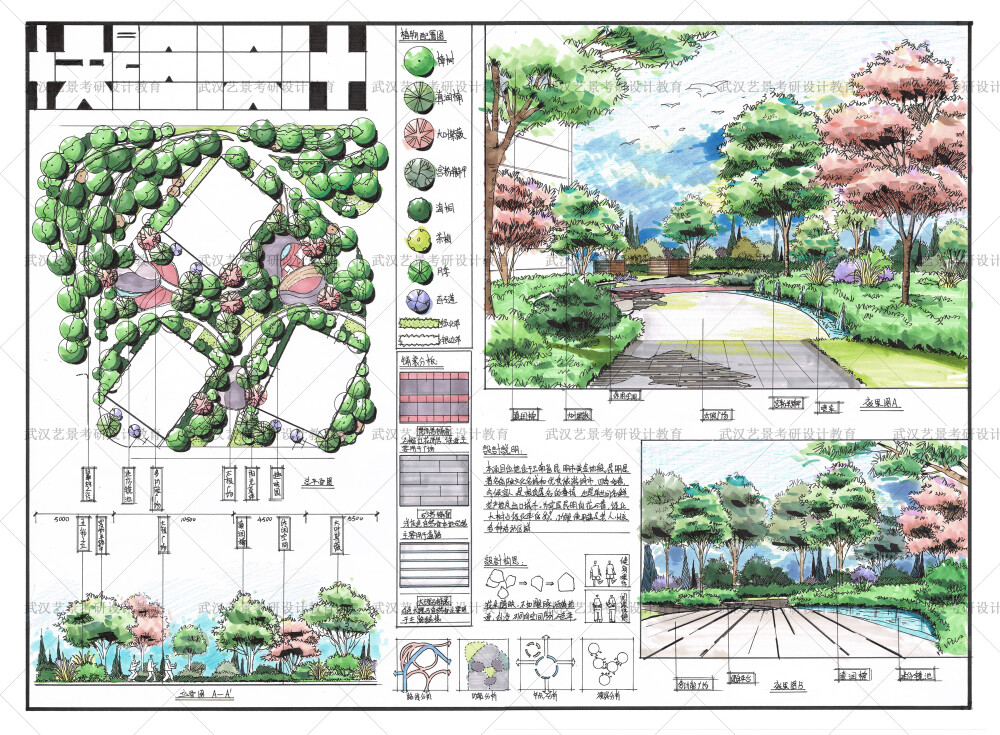 景观快题学生作品