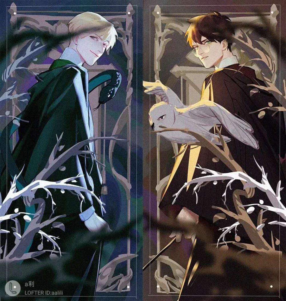 nothing to say but Snape is so handsome that makes me crazy. though I am a Gryffindor but Slytherin's schoolmate Draco Malfoy is such a gorgeous boy. so anyway,to choose Slytherin can be a better choice for me. 