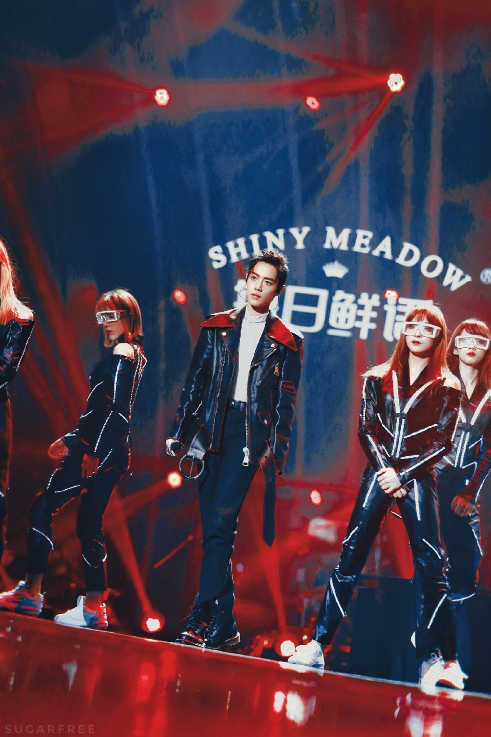 【肖战】我们的歌