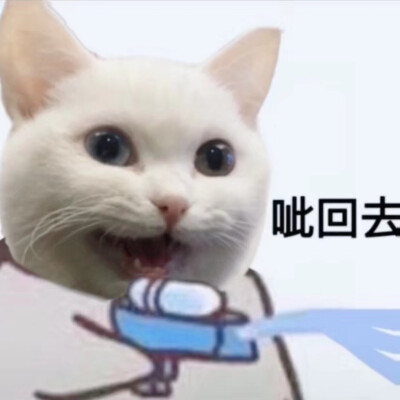 情侣头像 猫狗