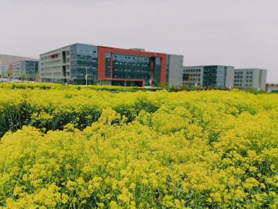 甘肃中医药大学