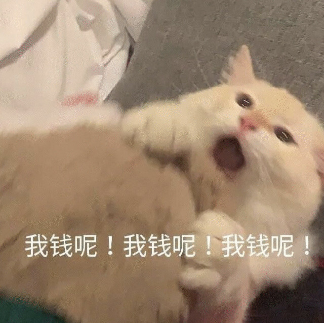 表情包