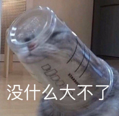 表情包