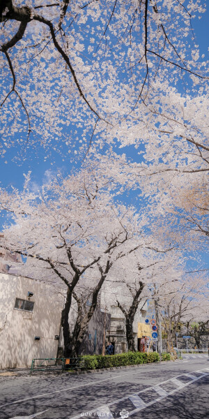 风景壁纸