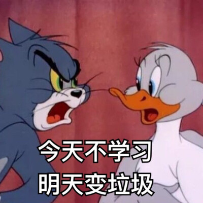 表情包 猫和老鼠