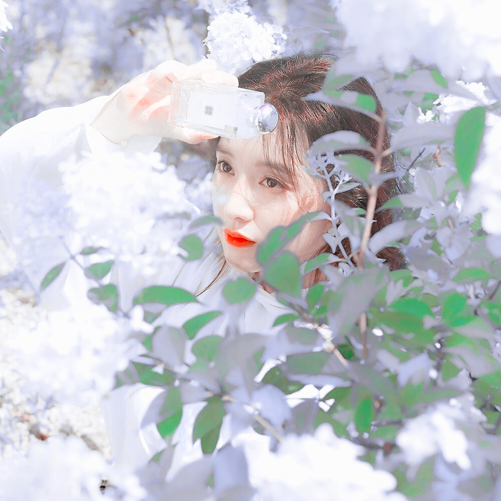 －
想和你沉醉于那一片花海
