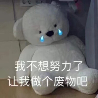 沙雕网友
/图源各处 侵删