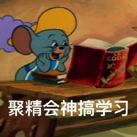 认认真真搞学习表情包