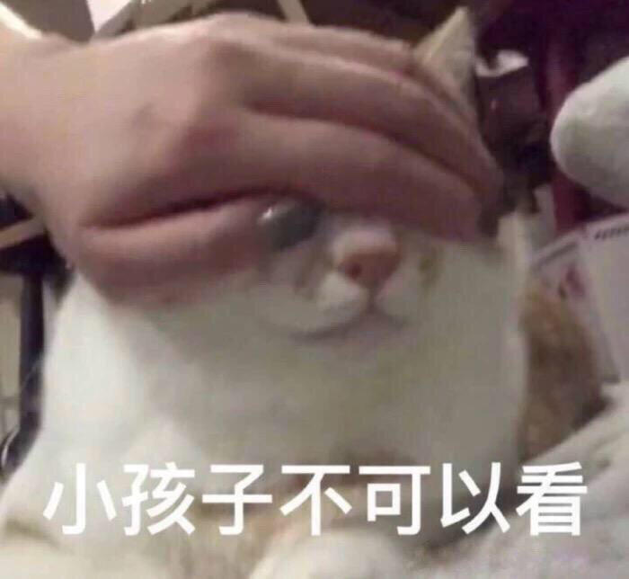 猫猫表情包 捂住眼睛 小孩子不可以看