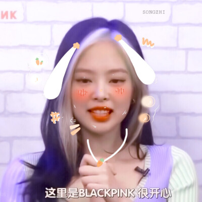 金智妮Jennie
原截堆糖兔子在打盹兒。
貼紙?zhí)异F奈和宋榆。