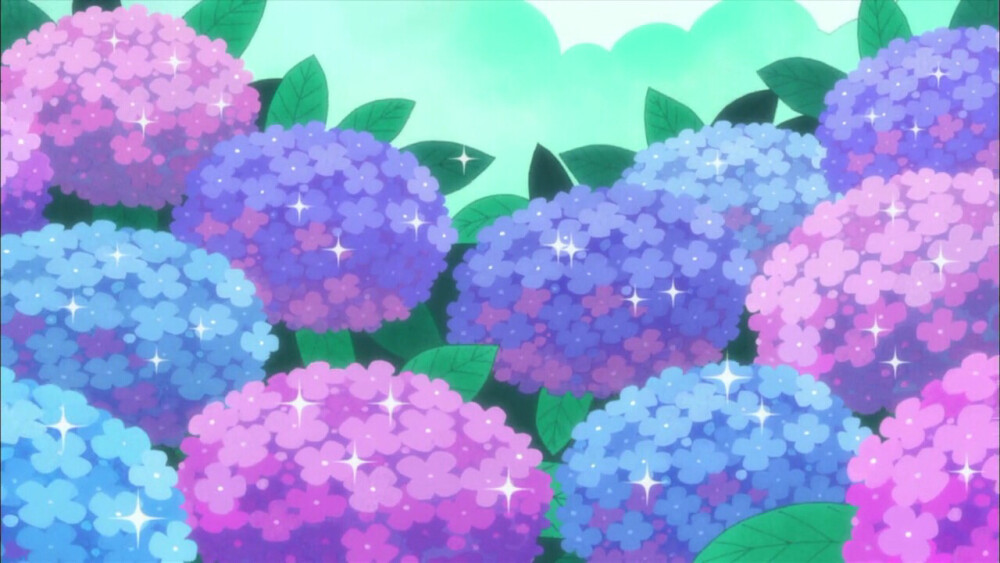 新娘捧花/绣球花