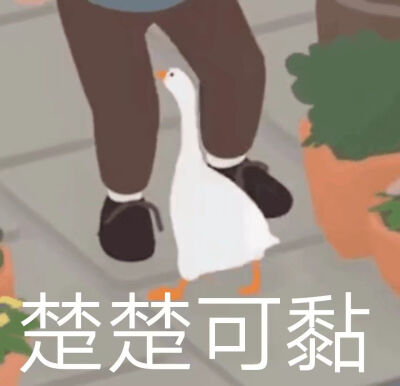 大鹅