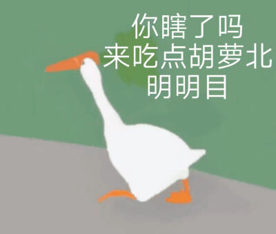 大鹅