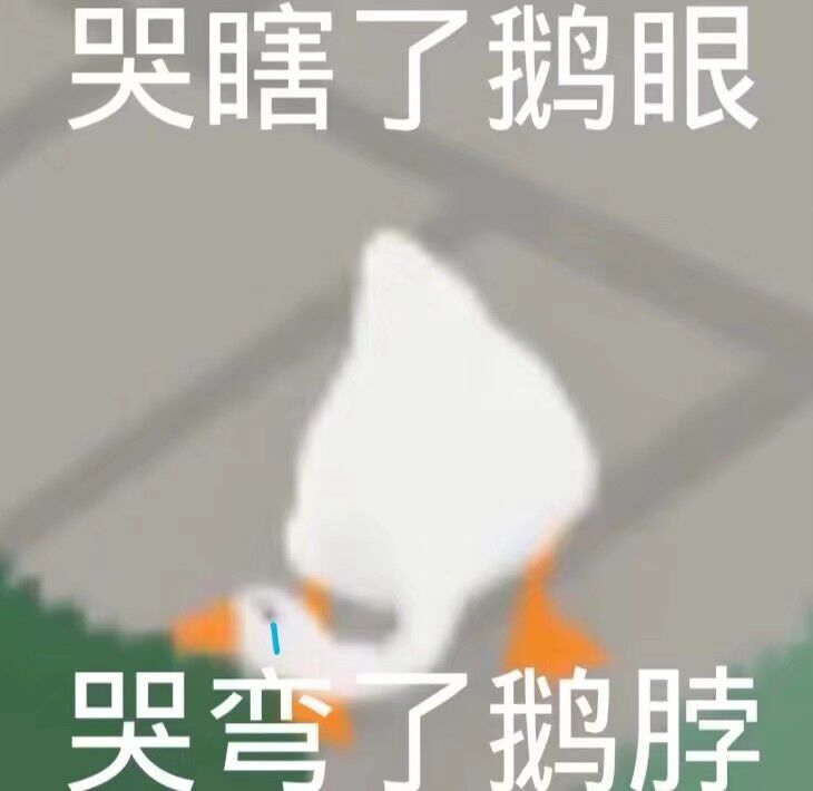 鹅