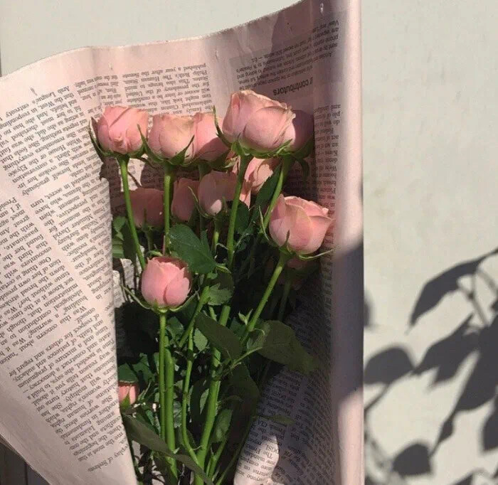 朋友圈背景图 手机壁纸 鲜花 意境图片 ins风简约风格