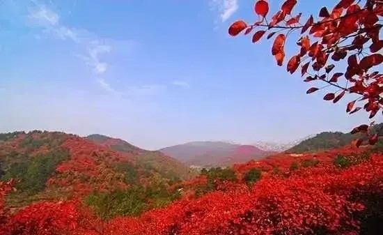 精彩