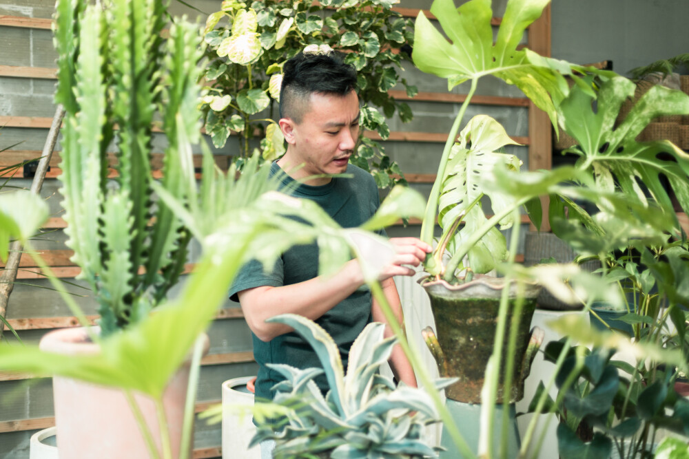 花鸟市场逛逛
摄影：洪小漩
场地：杨家花卉世界
难得周末，不舍得浪费在家，就想出去哪里逛逛。
醒来百无聊赖，在小红书上上下刷着，原本相中了远在双铺的清分山房，奈何电话联系后被告知周末客户比较多，预约怕是也已经客满，只得做罢。
想象要不去花鸟市场逛逛，便以此为目的地，继续搜寻起来。
其实家附近就有凤起路花鸟市场，只是前几日刚刚去那买了些鲜切花，便不想再光顾，还是期望走远一些，说不定有惊喜。
最终选中了杨家花卉世界，距离家大约六公里，公交车也不过7站，超乎意料地方便。
和阿科在小铺子吃了点小馄饨，便出发了，地方很容易就找到了。市场极大，各色花木盆栽都有，价格自然是比外面花店亲切多了。尤其是跟着前来