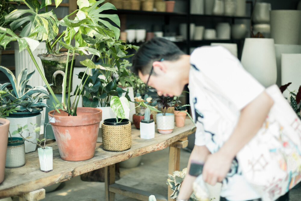 花鸟市场逛逛
摄影：洪小漩
场地：杨家花卉世界
难得周末，不舍得浪费在家，就想出去哪里逛逛。
醒来百无聊赖，在小红书上上下刷着，原本相中了远在双铺的清分山房，奈何电话联系后被告知周末客户比较多，预约怕是也已经客满，只得做罢。
想象要不去花鸟市场逛逛，便以此为目的地，继续搜寻起来。
其实家附近就有凤起路花鸟市场，只是前几日刚刚去那买了些鲜切花，便不想再光顾，还是期望走远一些，说不定有惊喜。
最终选中了杨家花卉世界，距离家大约六公里，公交车也不过7站，超乎意料地方便。
和阿科在小铺子吃了点小馄饨，便出发了，地方很容易就找到了。市场极大，各色花木盆栽都有，价格自然是比外面花店亲切多了。尤其是跟着前来