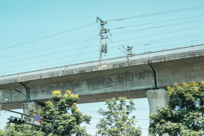 花鸟市场逛逛
摄影：洪小漩
场地：杨家花卉世界
难得周末，不舍得浪费在家，就想出去哪里逛逛。
醒来百无聊赖，在小红书上上下刷着，原本相中了远在双铺的清分山房，奈何电话联系后被告知周末客户比较多，预约怕…