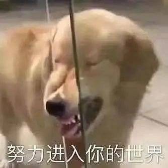 老网易了