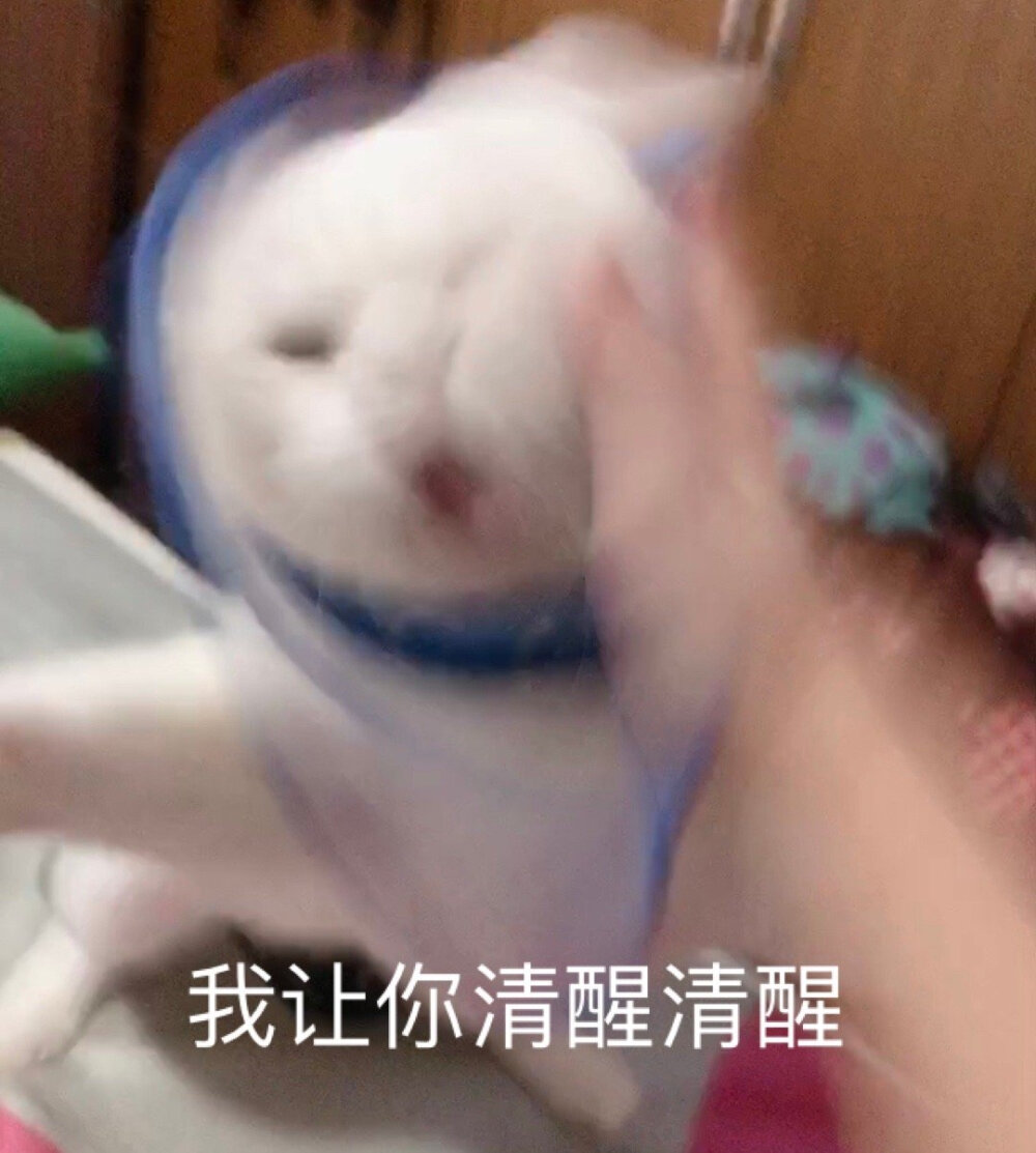 给爷死