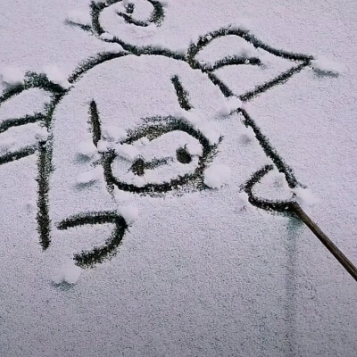 如果喝水都会长胖 为什么不喝奶茶呢 ​​