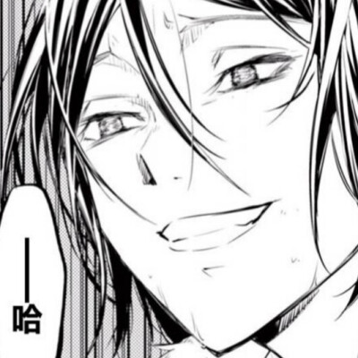 文豪野犬
费奥多尔·D